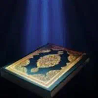 کارجو