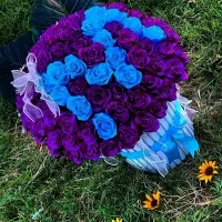 گل 75شاخه