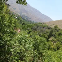 ۳۵۰ متر زمین در لواسان