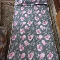 تشک مسافرتی پیگمنت