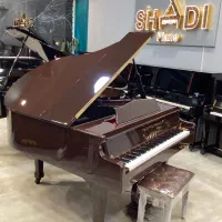 پیانو دیجیتال طرح گرند یاماها Yamaha P225 آکبند