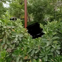 850متر باغ  صحرای خوشی دولت آباد