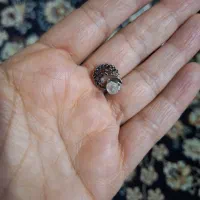 نقره|جواهرات|اهواز, چنیبه علیا|دیوار