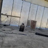 ایزوگام