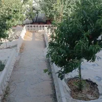 باغ مبله فروشی بلوارتوس 81