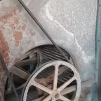 شاگرد تابستانه یا داعم