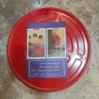 جا شلنگی نصب دیواری فروشگاه شیلنگ جمع کن آب مشهد