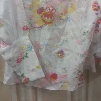 دوعدد شومیز