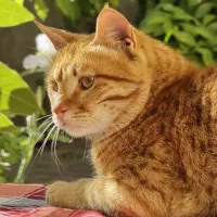 با تخفیف خیلی زیادد