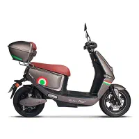 موتور کویر برقی