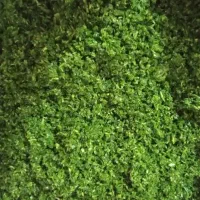 سبزی خورد شده  برگ‌سیر و سبزی خوردن