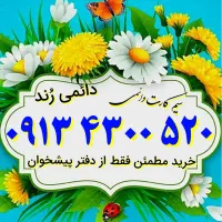 ۰۹۱۳.۴۳۰۰.۵۲۰