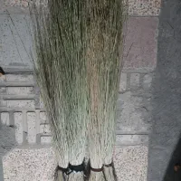 جارو کوهی