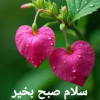 فروش سیم کارت