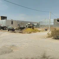 فروش گوسفند