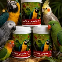 سرلاک طوطی سانان عروس گرینچیک راهب و...