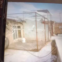 دو عدد قفس کبوتر