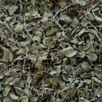 آویشن خوش عطر