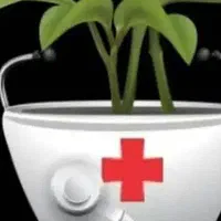 متخصص گل و گیاه اپارتمانی و باغچه