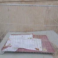 قفس پرنده نو بزرگ محکم