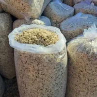 تفاله چغندر