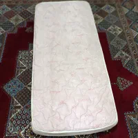 تشک درحدنو