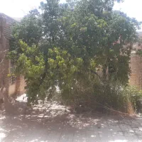 فروش-ملک-کلنگی-388-متری
