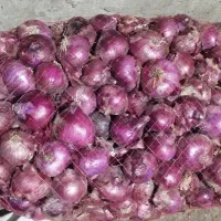 پیاز قرمز درجه یک