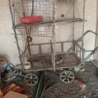 گاری هفت میلیون تومن
