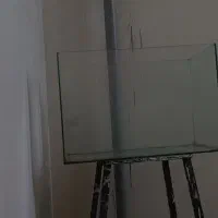 اکواریوم