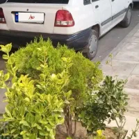پراید 141مدل90