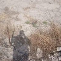 زمین زراعی روستای مرنگلوی بزرگ