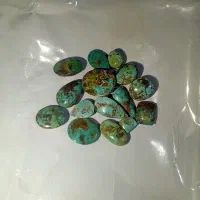 فیروزه نیشابوری کد 002