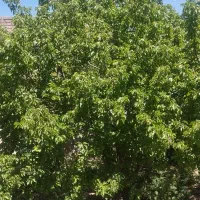خانه ویلایی مسکونی
