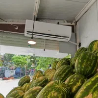 همکار ماهر ونیمه ماهر جهت کار در شهر میوه