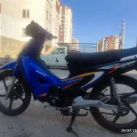 طرح ویو رادیسون مدل ۹۰ کارت و برگ سبز