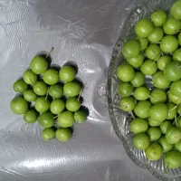 فروش گوجه سبزتازه وخوش طعم
