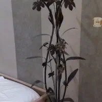 اباژور مسی