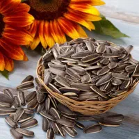 وسایل تخمه پزی