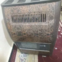 بخاری وگاز