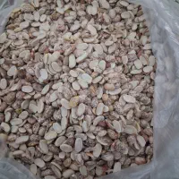 لوبیا شکسته وسالم