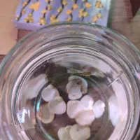 دو عدد بچه ماهی گوپی