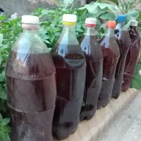 ابغوره جوشیده