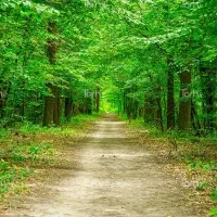 تور ۲روزه یاسوج شیراز