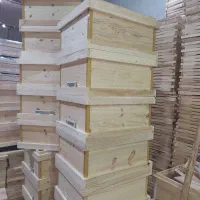 کندو، طبق و قاب زنبور عسل، کندوچه، زنبورعسل، رامکا