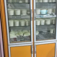همکار خانم
