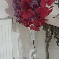 بنفش و سرخابی