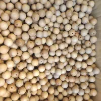 مهره چوب گردو