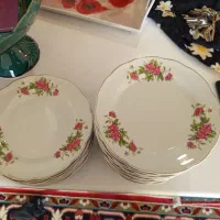 پیش دستی گل سرخ نونو