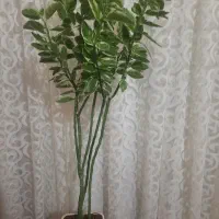 گل و گلدان